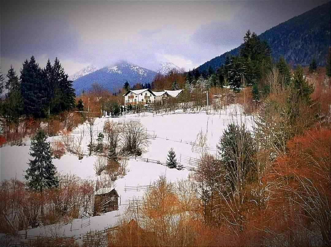 Alpina Panoramic 3* Moisei