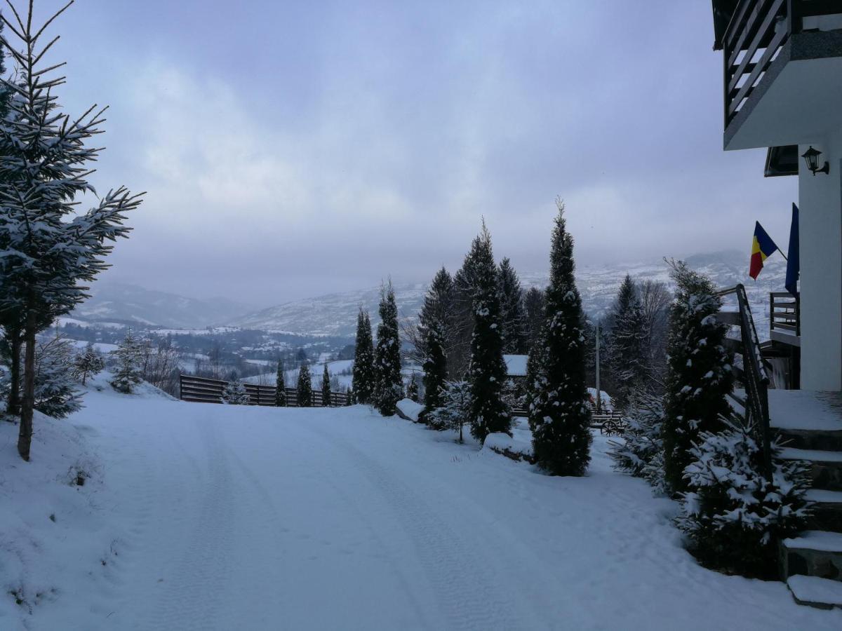 Alpina Panoramic 3* Moisei